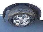 2025 Ford F-150 SuperCrew Cab 4x2 Pickup for sale #13283 - photo 12
