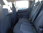 2024 Ford Ranger SuperCrew Cab 4x2, Pickup for sale #13286 - photo 28