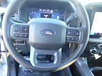 2025 Ford F-150 SuperCrew Cab 4x2, Pickup for sale #13302 - photo 8