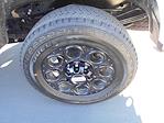 2025 Ford F-350 Crew Cab SRW 4x4 Pickup for sale #13416 - photo 14