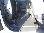 2025 Ford F-150 Super Cab 4x4 Pickup for sale #13467 - photo 6