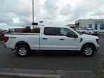 2025 Ford F-150 SuperCrew Cab 4x4 Pickup for sale #13888 - photo 24