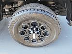 2025 Ford F-350 Crew Cab SRW 4x4 Pickup for sale #13897 - photo 38