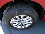 2025 Ford F-150 SuperCrew Cab 4x4 Pickup for sale #13903 - photo 10
