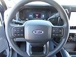 2025 Ford F-250 Crew Cab 4x4 Pickup for sale #14018 - photo 10