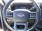 2025 Ford F-250 Crew Cab 4x4 Pickup for sale #14235 - photo 10