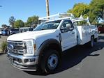 2024 Ford F-450 Regular Cab DRW 4x2 Scelzi Combo Body for sale #14433 - photo 1