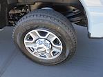 2025 Ford F-350 Crew Cab SRW 4x4 Pickup for sale #14445 - photo 16