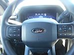 2025 Ford F-150 SuperCrew Cab 4x4 Pickup for sale #14653 - photo 35