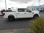 2025 Ford F-150 SuperCrew Cab 4x2 Pickup for sale #14710 - photo 28