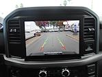 2025 Ford F-150 SuperCrew Cab 4x2 Pickup for sale #14856 - photo 34