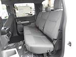 New 2025 Ford F-150 XLT SuperCrew Cab for sale #14906 - photo 28