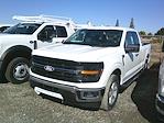 2025 Ford F-150 Super Cab 4x2 Pickup for sale #14907 - photo 25