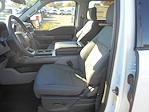 2025 Ford F-150 SuperCrew Cab 4x2 Pickup for sale #14910 - photo 7