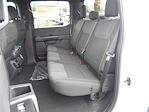 2025 Ford F-150 SuperCrew Cab 4x2 Pickup for sale #15021 - photo 28
