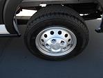 New 2026 Ford Transit 250 Medium Roof Empty Cargo Van for sale #15034 - photo 37