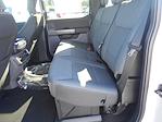 2025 Ford F-150 SuperCrew Cab 4x4 Pickup for sale #15047 - photo 28
