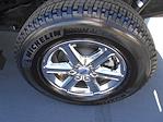 2025 Ford F-150 SuperCrew Cab 4x4 Pickup for sale #15047 - photo 38