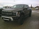 New 2025 Ford F-150 Raptor SuperCrew Cab for sale #15213 - photo 25