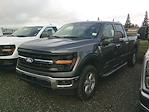 New 2025 Ford F-150 XLT SuperCrew Cab for sale #15354 - photo 3