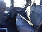New 2026 Ford F-150 STX SuperCrew Cab for sale #15472 - photo 6