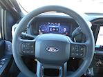 2025 Ford F-150 SuperCrew Cab 4x4 Pickup for sale #15481 - photo 10
