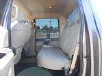 2020 Ford F-150 SuperCrew Cab 4x2 Pickup for sale #83938 - photo 10