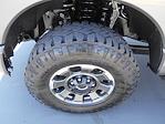 2023 Ford F-250 Crew Cab 4x4 Pickup for sale #84058 - photo 18