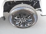 2024 Ford F-150 SuperCrew Cab 4x4 Pickup for sale #84465 - photo 16