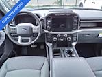 2024 Ford F-150 SuperCrew Cab RWD Pickup for sale #45418 - photo 10