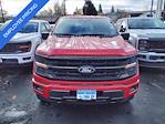 2024 Ford F-150 SuperCrew Cab 4WD Pickup for sale #45543 - photo 4