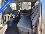 2024 Ford F-150 SuperCrew Cab 4WD Pickup for sale #45567 - photo 10