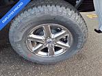 2024 Ford F-150 SuperCrew Cab 4WD Pickup for sale #45679 - photo 8