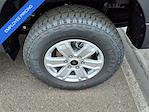 New 2025 Ford Ranger XL SuperCrew Cab 4WD Pickup for sale #55698 - photo 8