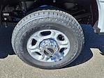 2025 Ford F-350 Regular Cab SRW 4WD Pickup for sale #55769 - photo 8