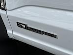 2025 Ford F-600 Regular Cab DRW 4WD Cab Chassis for sale #8047 - photo 23