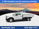 Used 2016 Ford F-250 XLT Regular Cab 4x2 Dump Truck for sale #C3929 - photo 8