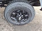 2024 Ford F-350 Regular Cab SRW 4WD Pickup for sale #C49497 - photo 7