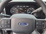 2025 Ford F-350 Crew Cab DRW 4WD Pickup for sale #C59657 - photo 15