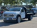 2025 Ford F-550 Regular Cab DRW 4WD Dump Truck for sale #F5360 - photo 3