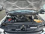 2022 Ford F-350 Crew Cab SRW 4WD Pickup for sale #5172X - photo 28