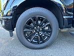 2024 Ford F-150 SuperCrew Cab 4WD Pickup for sale #53472 - photo 25