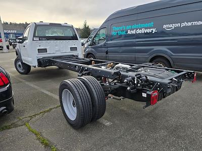 2024 Ford F-450 Regular Cab DRW 4x2 Cab Chassis for sale #F4440 - photo 2