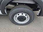 New 2025 Ford Transit 250 Medium Roof Empty Cargo Van for sale #F4569 - photo 9