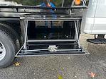 2025 Ford F-350 Crew Cab DRW 4WD Scelzi Landscape Dump for sale #F4656 - photo 29