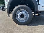2025 Ford F-600 Regular Cab DRW RWD Cab Chassis for sale #F5041 - photo 24