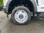 2025 Ford F-550 Regular Cab DRW 4WD Scelzi Dump Truck for sale #F4926 - photo 12