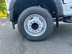 2025 Ford F-600 Regular Cab DRW RWD Cab Chassis for sale #F5063 - photo 23