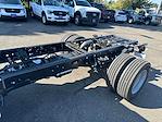 2025 Ford F-600 Regular Cab DRW 4x2 Cab Chassis for sale #TF5065 - photo 19
