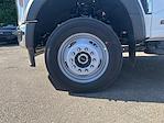 2025 Ford F-550 Regular Cab DRW 4WD Scelzi Combo Body for sale #F5092 - photo 38